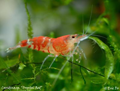 DSC_3366.jpg