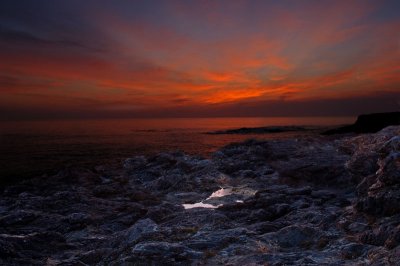 D2X_3075.jpg