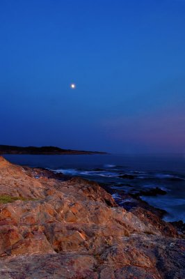 D2X_3077.jpg