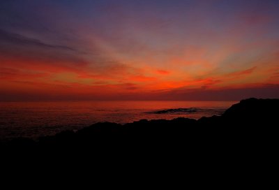 D2X_3079.jpg