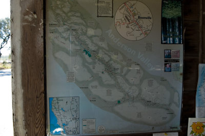DSC_7312.jpg