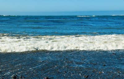 DSC_7327.jpg