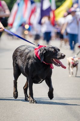 memorialday2012-245.jpg