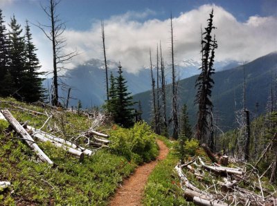 Deer Park , Olympic National Park, WA