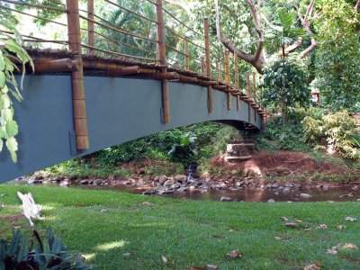 bridge at McBryde Garden