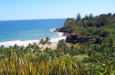 view from Allerton Gardens Kauai