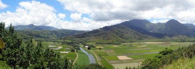 Hanalei Valley panorama