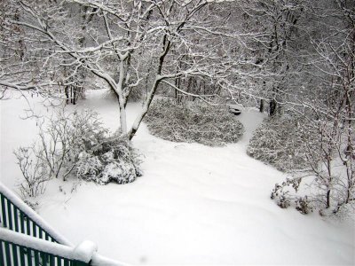 snowy yard with deck