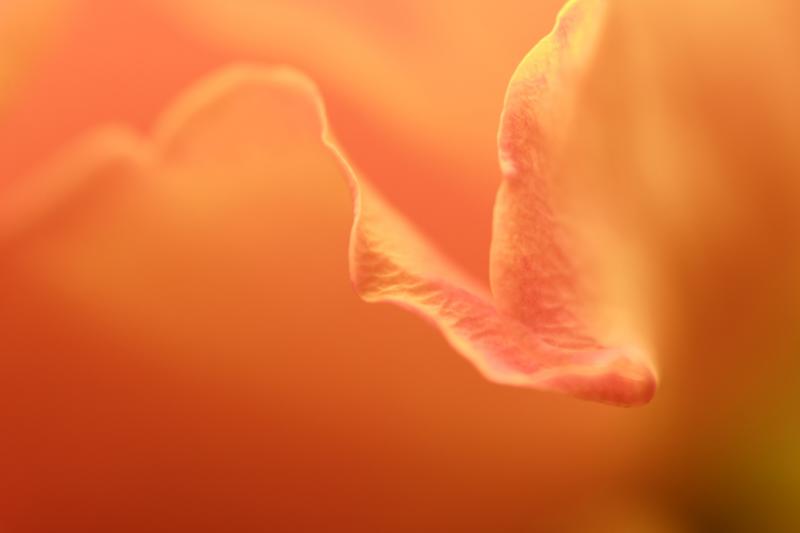 Fragile