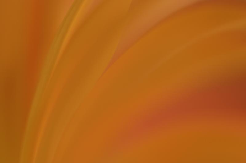 _MG_9661.jpg