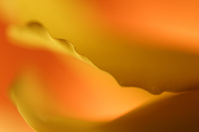 _MG_0536.jpg
