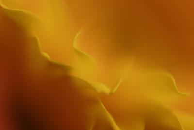 _MG_9789.jpg