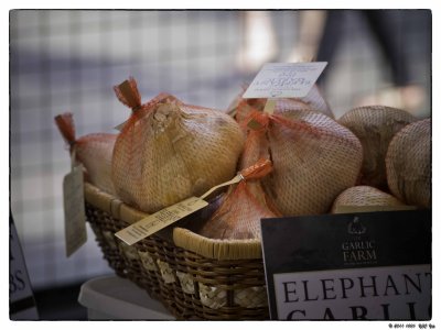 20111001 102 Borough Market.jpg