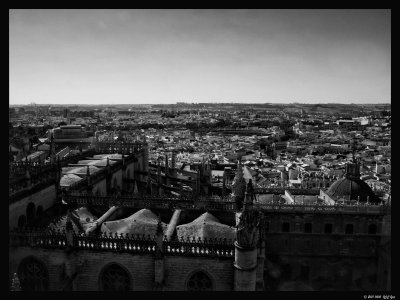1005 Seville 22 Seville Cathedral - Panoramic view from Giralda.jpg