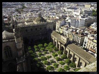 1005 Seville 24 Seville Cathedral - Panoramic view from Giralda.jpg