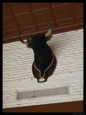 1005 Seville 30 Bullfighting museum.jpg