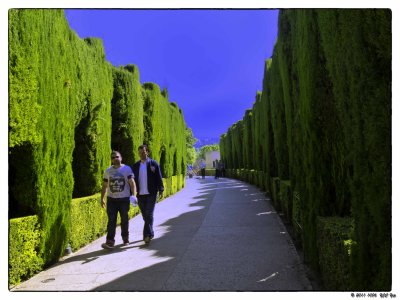 1006 24  Alhambra.jpg