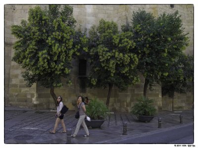 1006 39 Granada.jpg