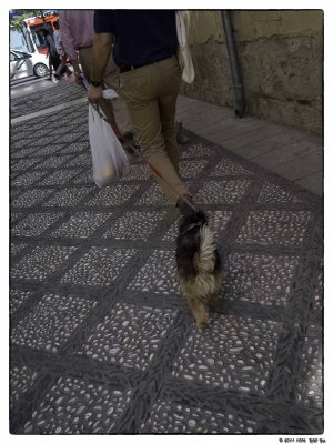 1006 41 Granada.jpg