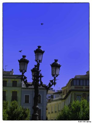 1006 45 Granada.jpg