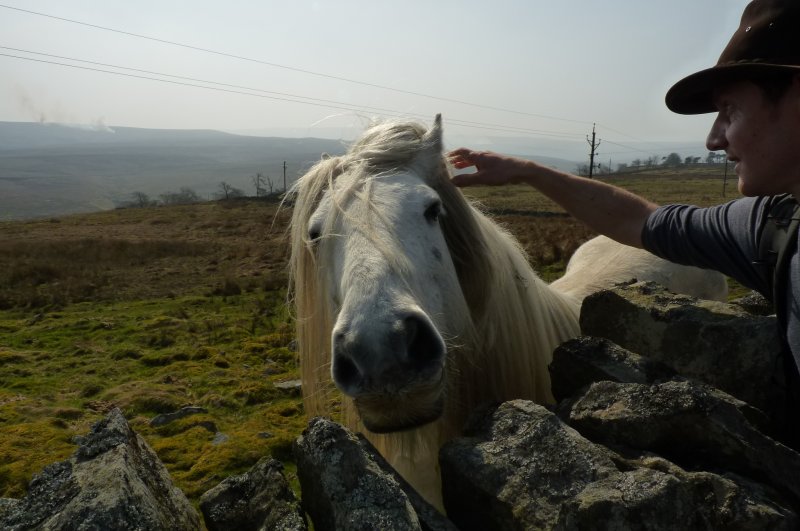 north_pennines_march_2012