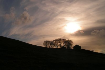 Wharfedale Scene