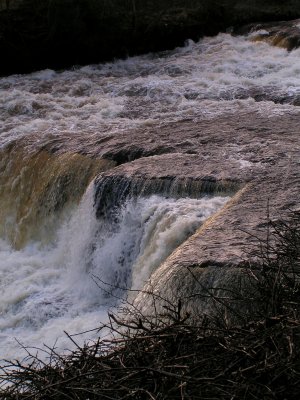 Lower Aysgarth Falls, North Yorkshire