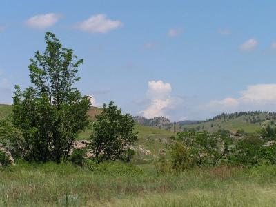 S Dakota Prairie