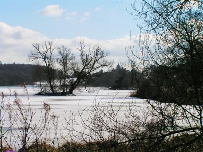 The Frozen Lake at Castle Howard