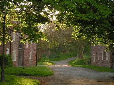 North Dalton