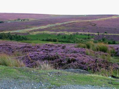 North Yorkshire Moors