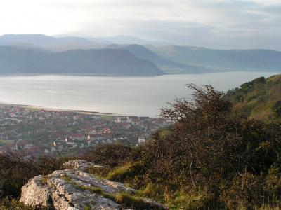 g4/35/663235/3/61862661.bIXnVosy.jpg