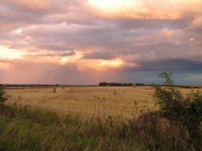 Between Market Weighton and Beverley