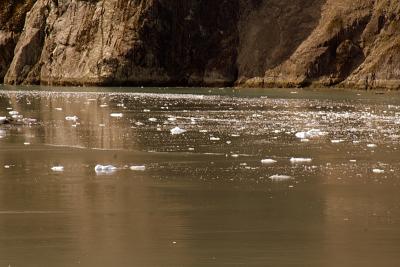 IMG_2241.jpg