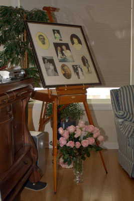 in_rememberance_of_lucy