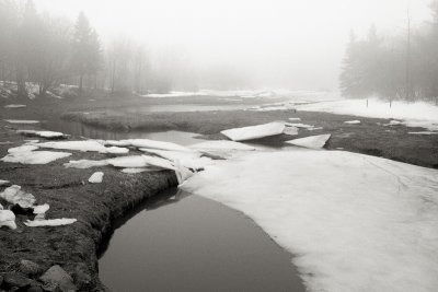 Morgan Bay Estuary in Spring Fog