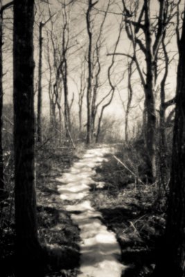 Path Revisited with Pinhole