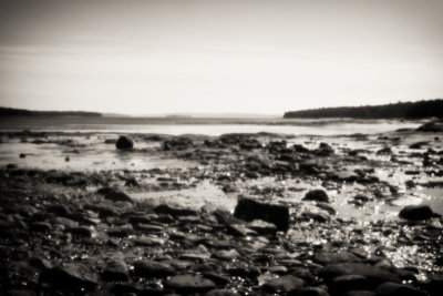 Morgan Bay, Tide Going Out