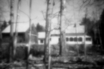 House and Barn Through Trees, Monochrome
