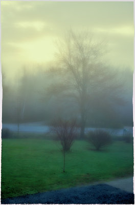 Foggy Morning Impression