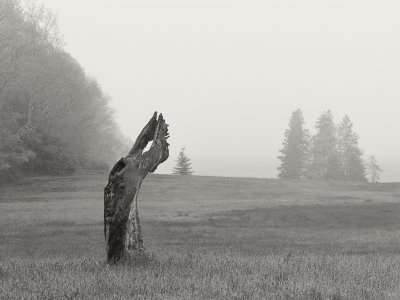 Natural Statue in Fog Monochrome