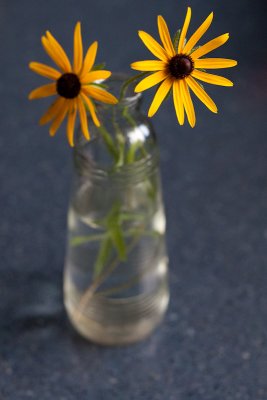 Yellow Daisies on a Blue Counter