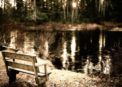 Bench by Frozen Pond, Stylized