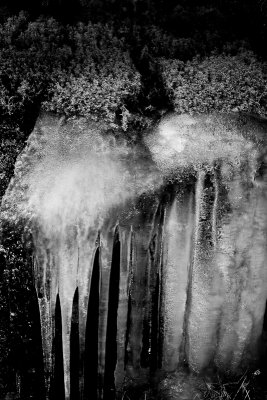 Reindeer Moss and Icicles Mono Variation 3