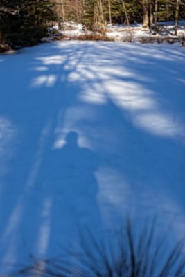 Shadows on Snow on Small Pond