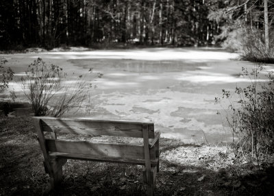 Bench Facing Frozen Pond
