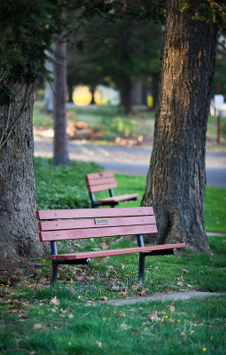 Two Red Benches Near the Tea House