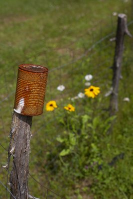 Fencepost Can and Flowers