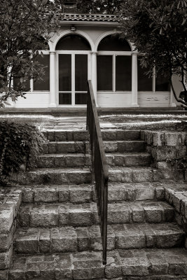 Steps Up from Rose Garden, monochrome