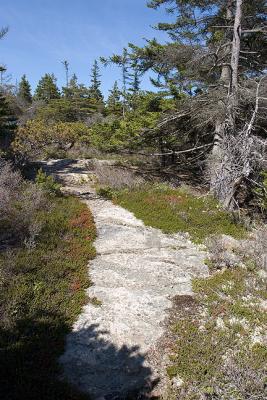 Stone Path #1